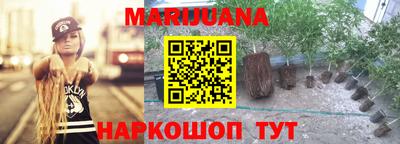 Альфа ПВП Малгобек