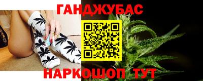 Альфа ПВП Малгобек