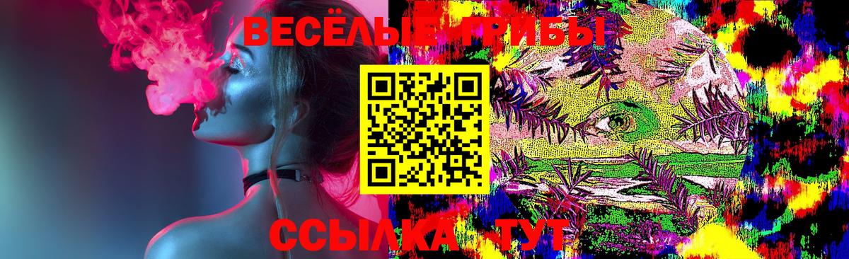 Псилоцибиновые грибы прущие грибы Грозный