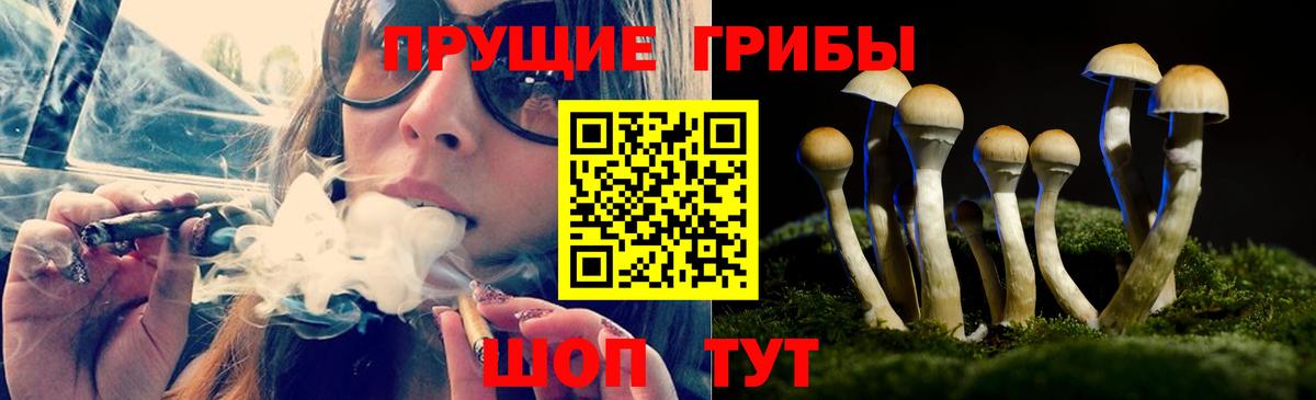 Грозный  Псилоцибиновые грибы Psilocybe  наркошоп  Вход с VPN 